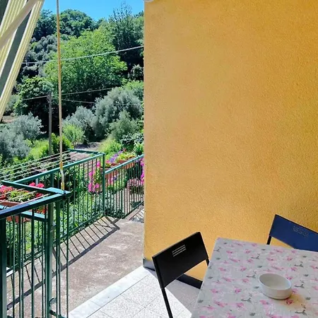 Trilocale Nel *